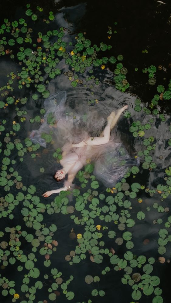 A girl in a light pink gown, laying in the water surrounded by lily pads, photographed from a birds eye view 