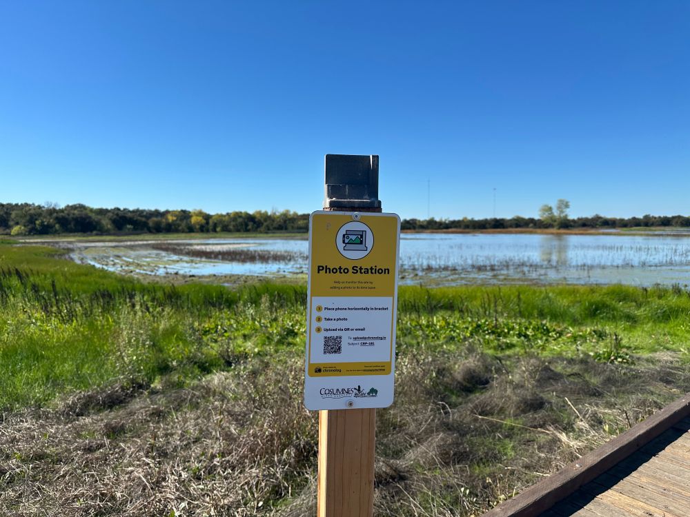 Photo of photo station. It has a sign on a post with instructions for uploading your photo, and a bracket in which to place your phone so that everyone's phones are generally photographing the same area. Flooded field, surrounded by green grass, is visible in the background.