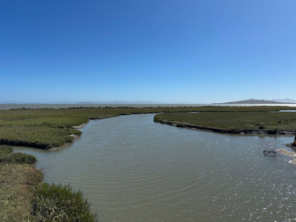 Photo of open channel flowing through wetland grasses. And the distance the silhouette of the San Francisco skyline, Golden Gate Bridge, and Mount Tam are visible.