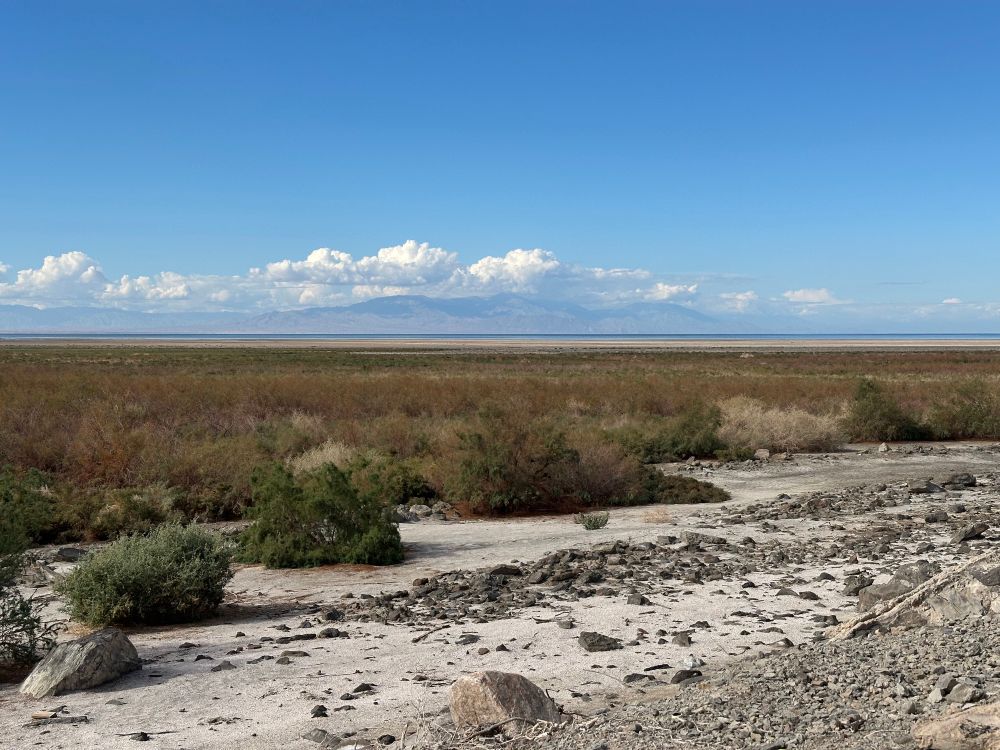 Photo looking out from the Rock Hill trail. The open water of the salton sea is far off in the distance.