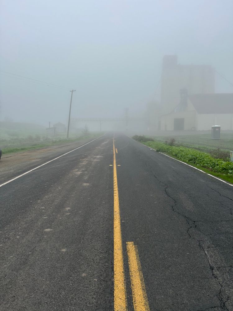 Photo looking down the center yellow line of a narrow road bounded by fields. In the immediate distance everything is obscured by thick fog, but the outline of a building can be seen on the right. 