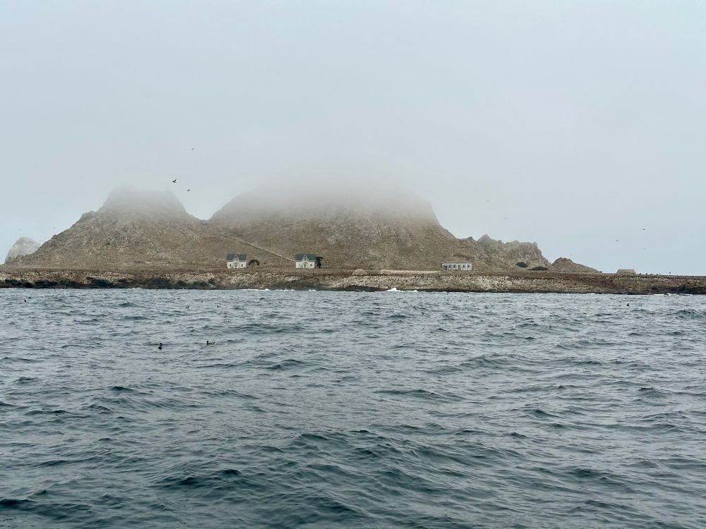 Another view of the main island. The highest points are all shrouded in fog. Just below the fog line and above the water line are a few buildings including houses. Birds fly overhead, and swim on the water.
