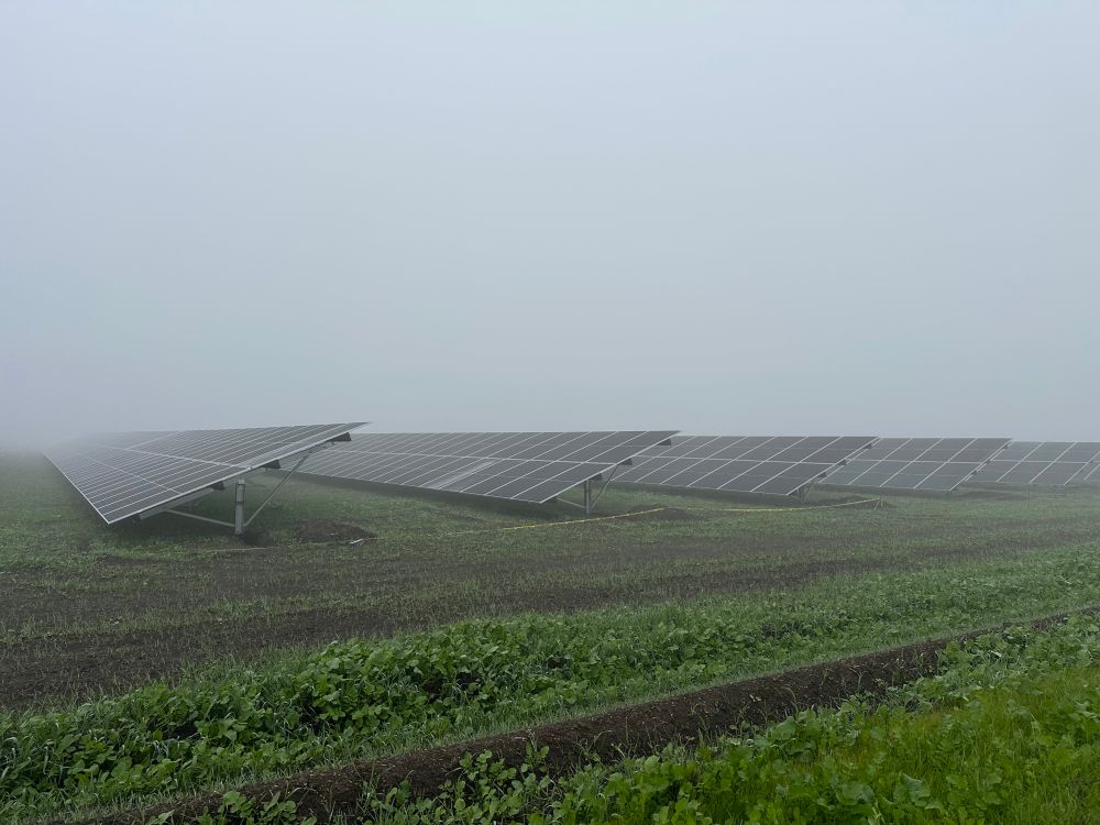 Photo of a field of solar panels, partially obscured by fog.