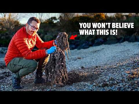 The Most DISGUSTING BEACH In Northern Ireland (Hidden for 50 years)