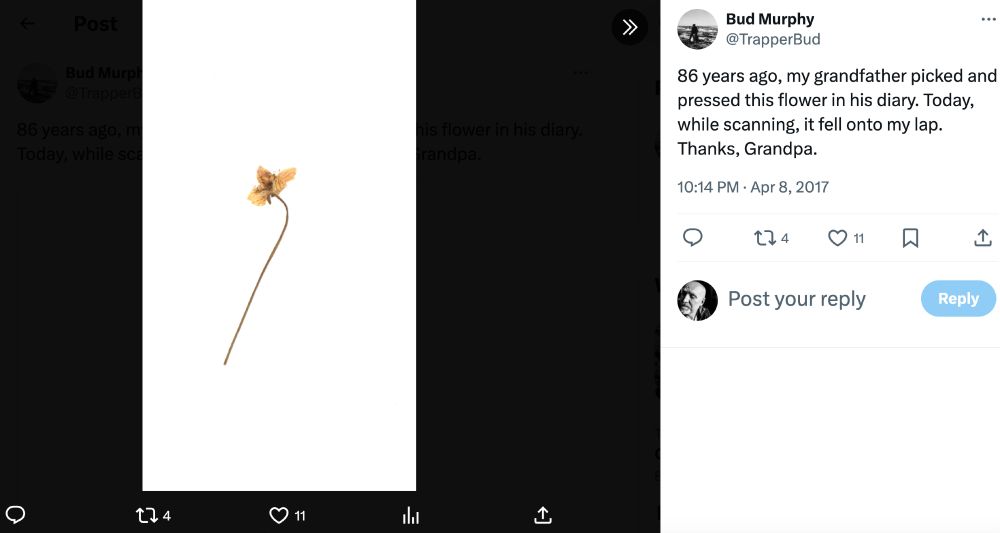 Comment image