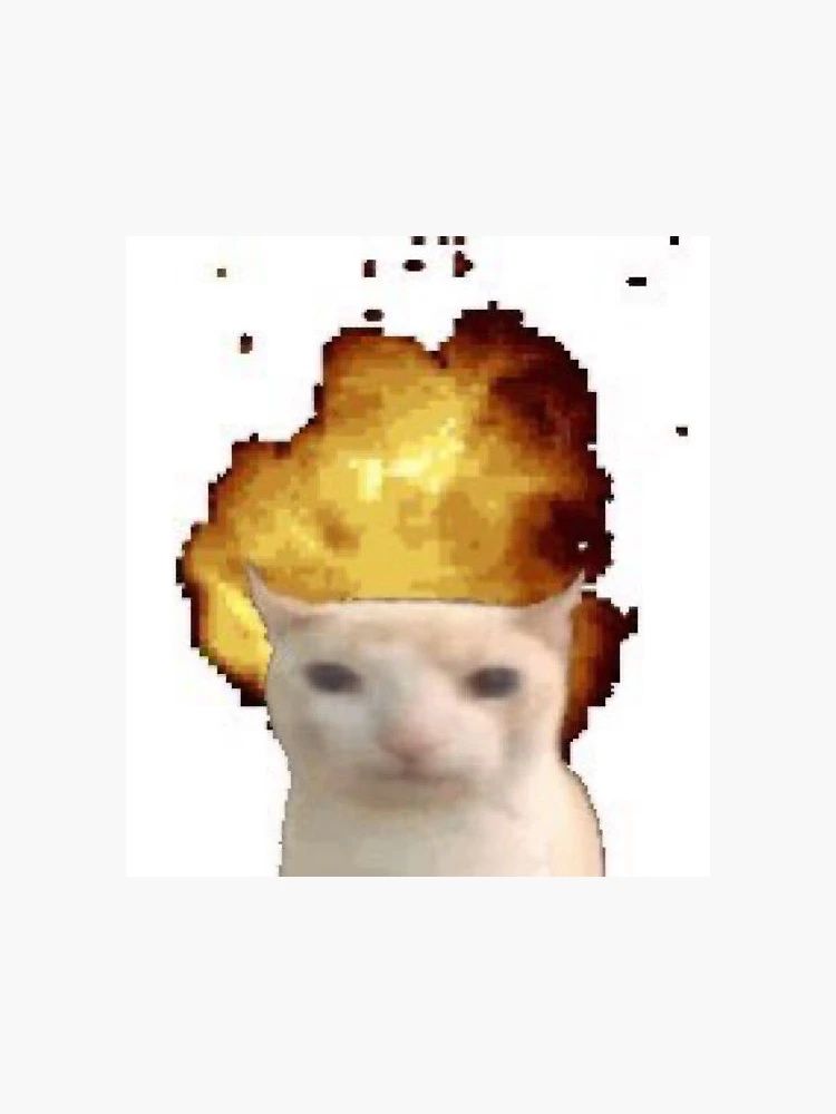 meme image of a cat in front of an explosion. The cat is expression-less.