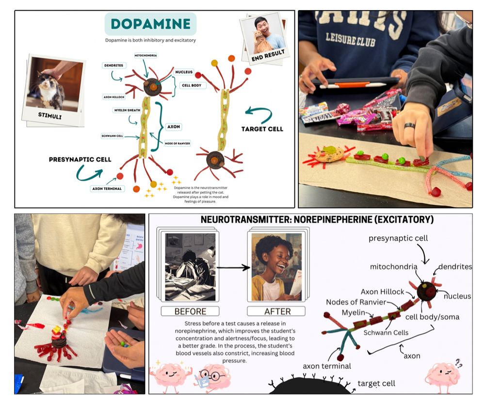 two student examples of project - building a neuron out of candy next to the final poster project created in Canva