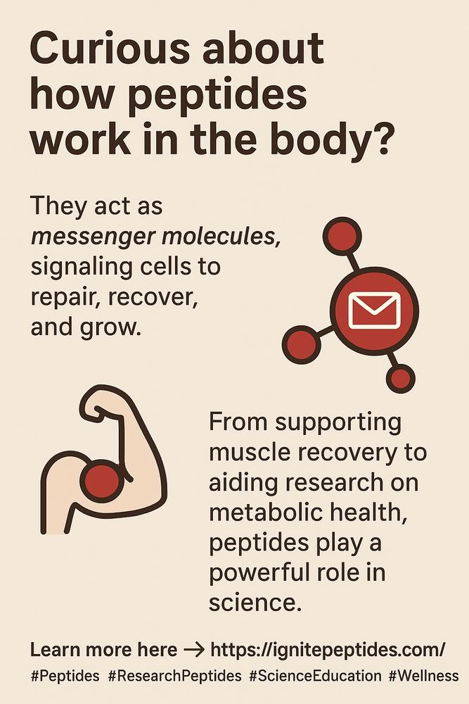 Educational infographic explaining how peptides work as messenger molecules, support muscle recovery, and contribute to scientific research.