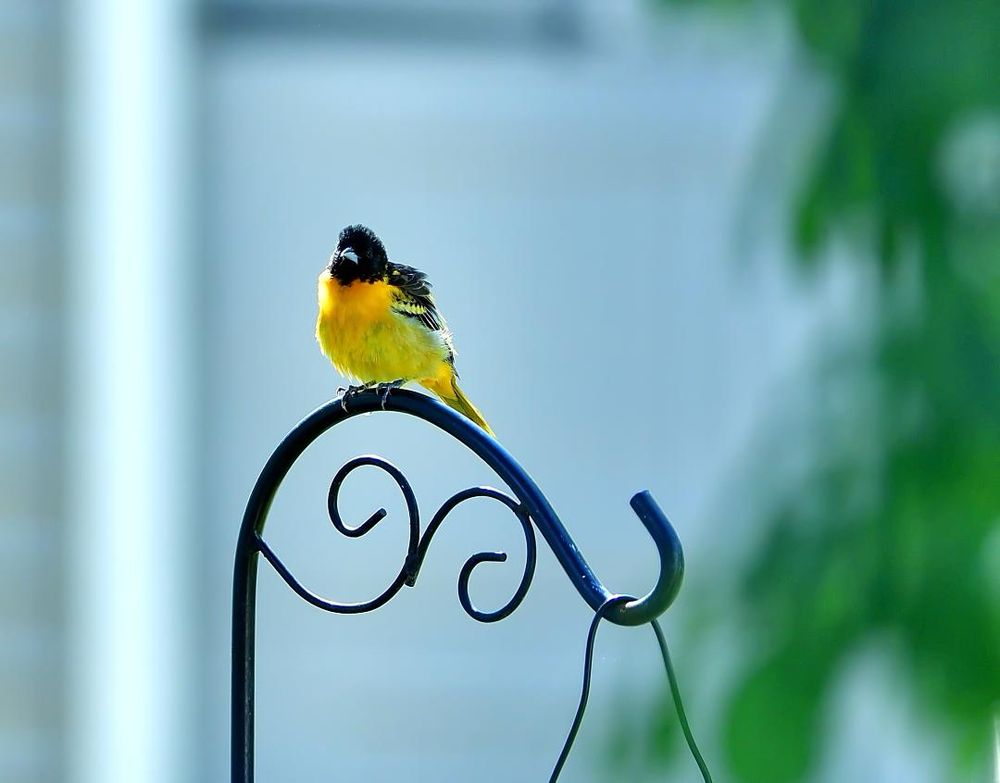 Post image (had no alt text on Bluesky)