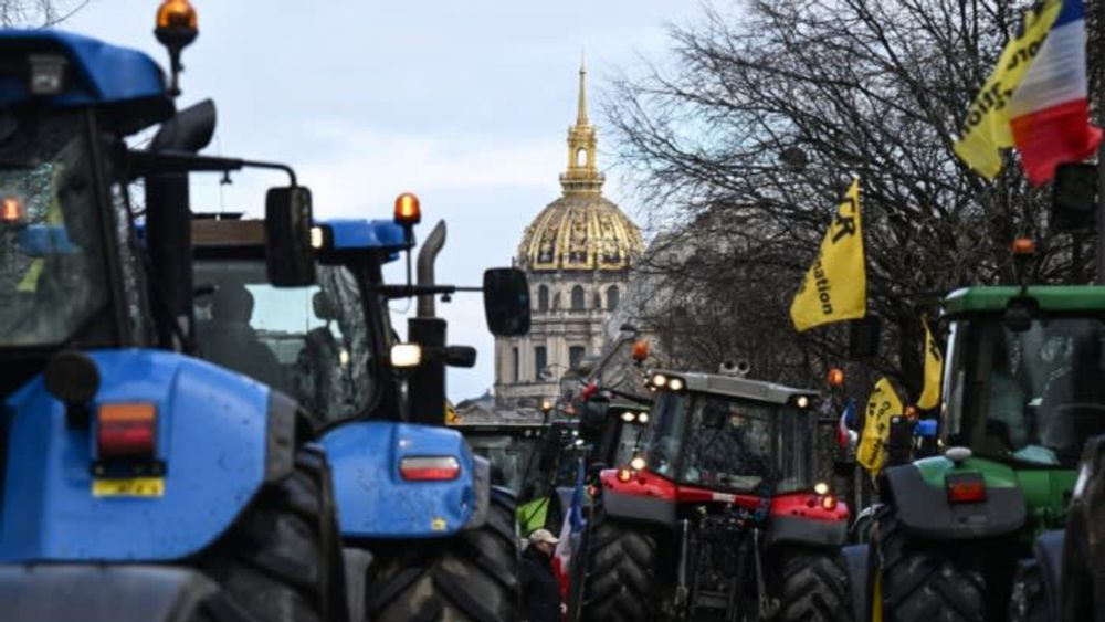 Farming must pay for its emissions, says EU chief climate scientist