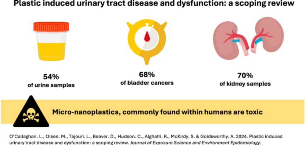 Plastic induced urinary tract disease and dysfunction: a scoping review - Journal of Exposure Science & Environmental Epidemiology