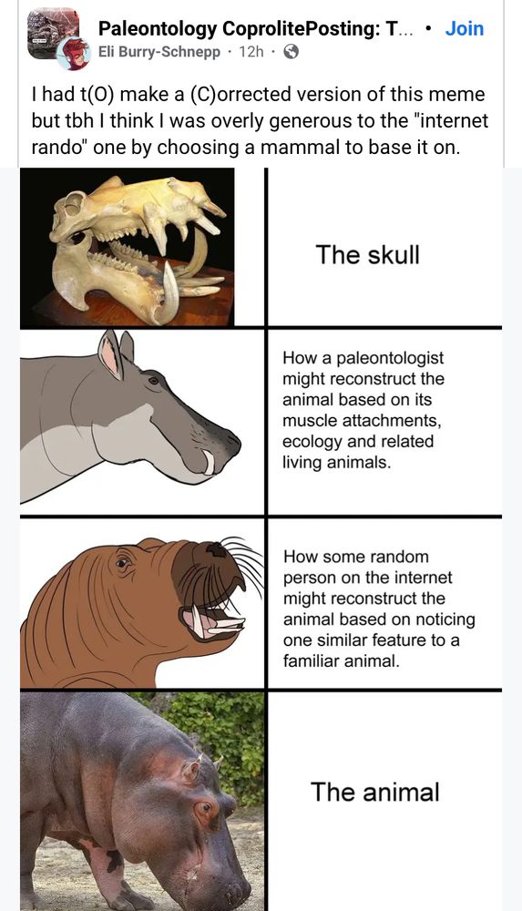 A meme depicting a hippo skull, then:

“How a paleontologist might reconstruct the animal based on its muscle attachments, ecology and related
living animals” next to a rather svelte and slightly wrong hippo (ears too big, exposed tusk)

“ How some random person on the internet might reconstruct the animal based on noticing one similar feature to a
familiar animal” next to a hippo restored after a walrus

And then a picture of a hippo marked “the animal”




