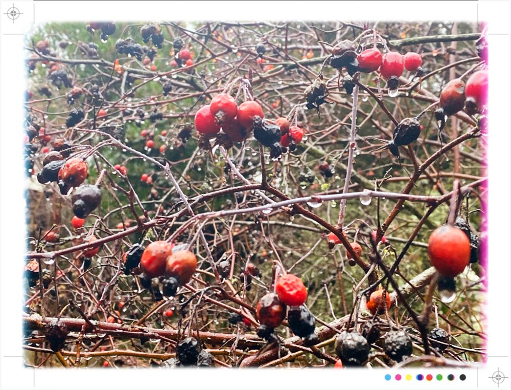 Death comes for most of us