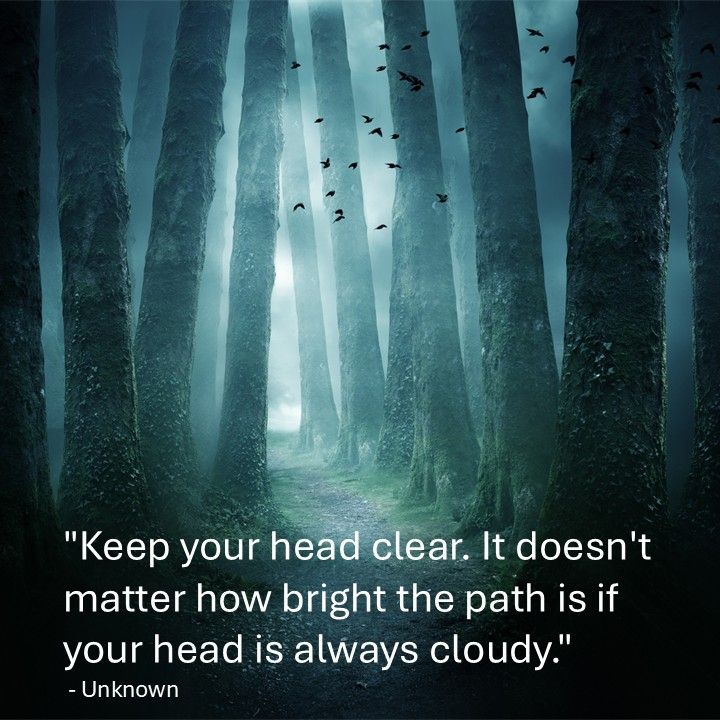 "Keep your head clear. It doesn't matter how bright the path is if your head is always cloudy." - Unknown