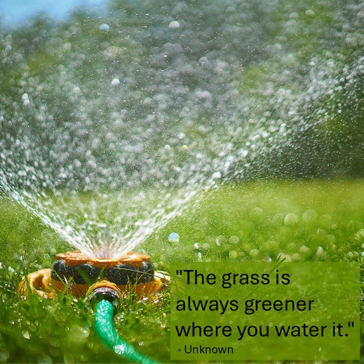"The grass is always greener where you water it." - Unknown