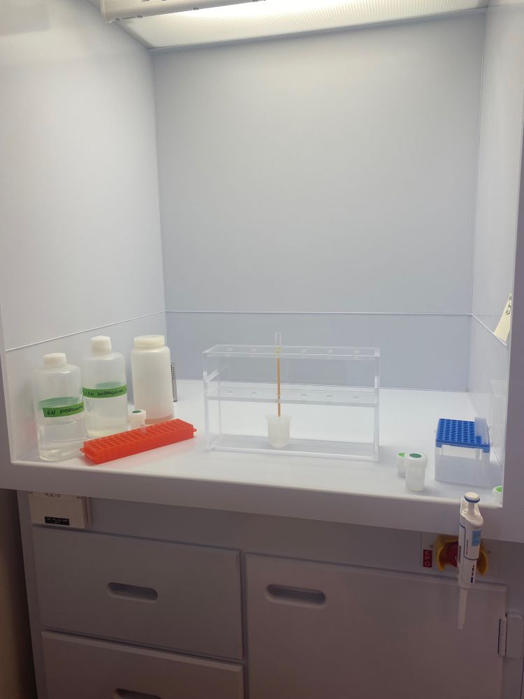 A single column in a clear rack. The lab space is white and there are reagent bottles around.