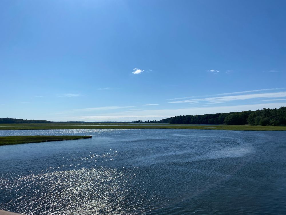 Scarborough Marsh, Scarborough, Maine. 