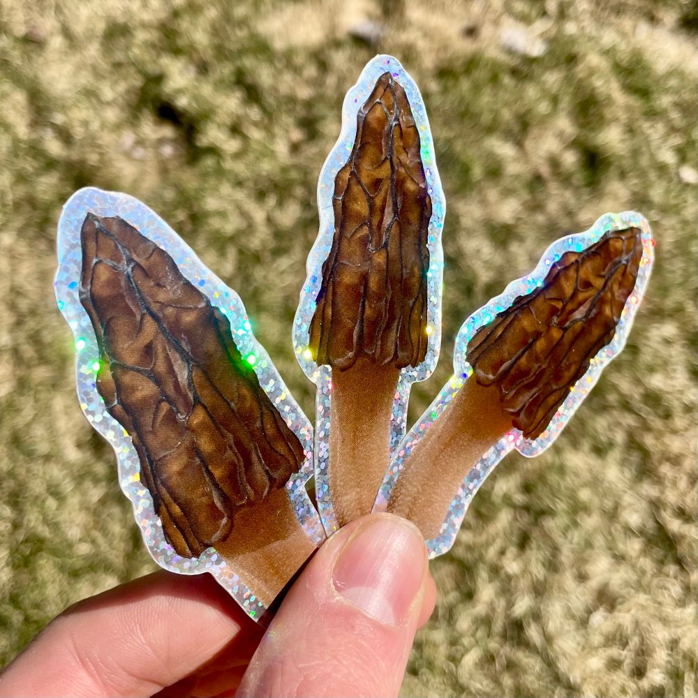 Sparkly morel stickers! You’ll get one of these!