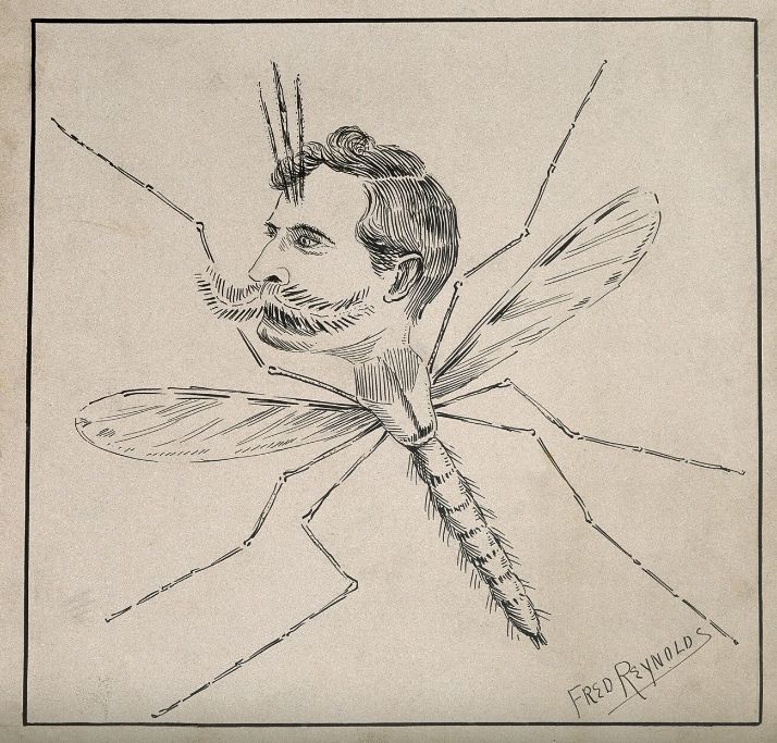 Ink drawing of the head of Henry Wellcome on a mosquito's body. The name Fred Reynolds is signed in the bottom right corner