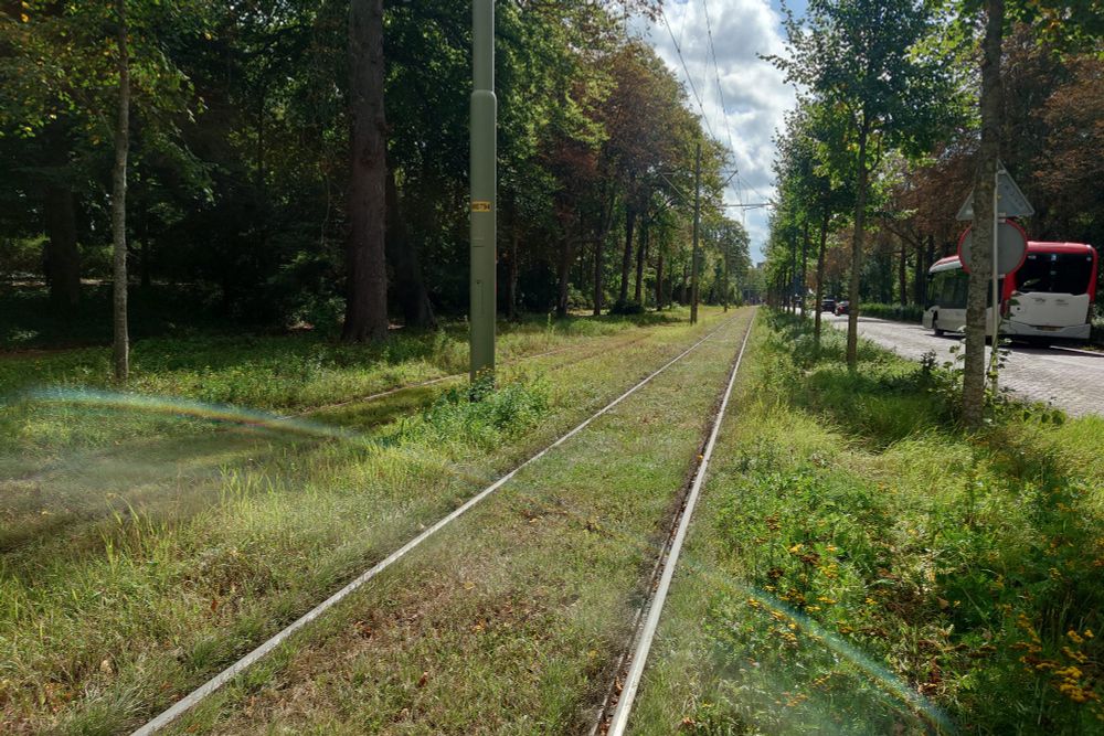 Sunshine, grass, tramlines, trees. The ultimate in urban transport 
