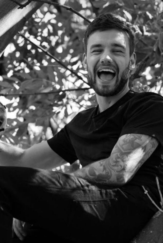liam payne smiling whilst sitting in a tree 