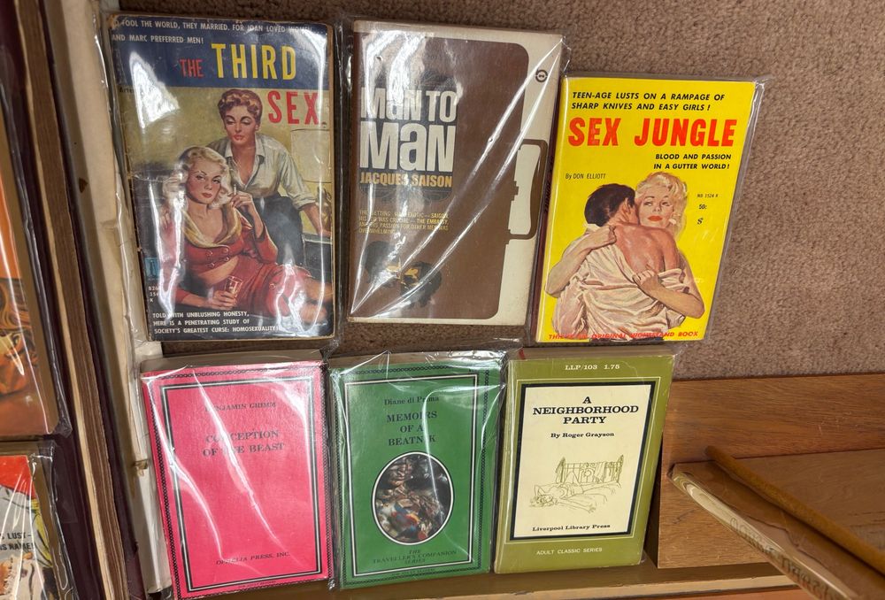 More sleezy paperbacks seen in the 4th floor shop at Moe's Books in Berkeley.