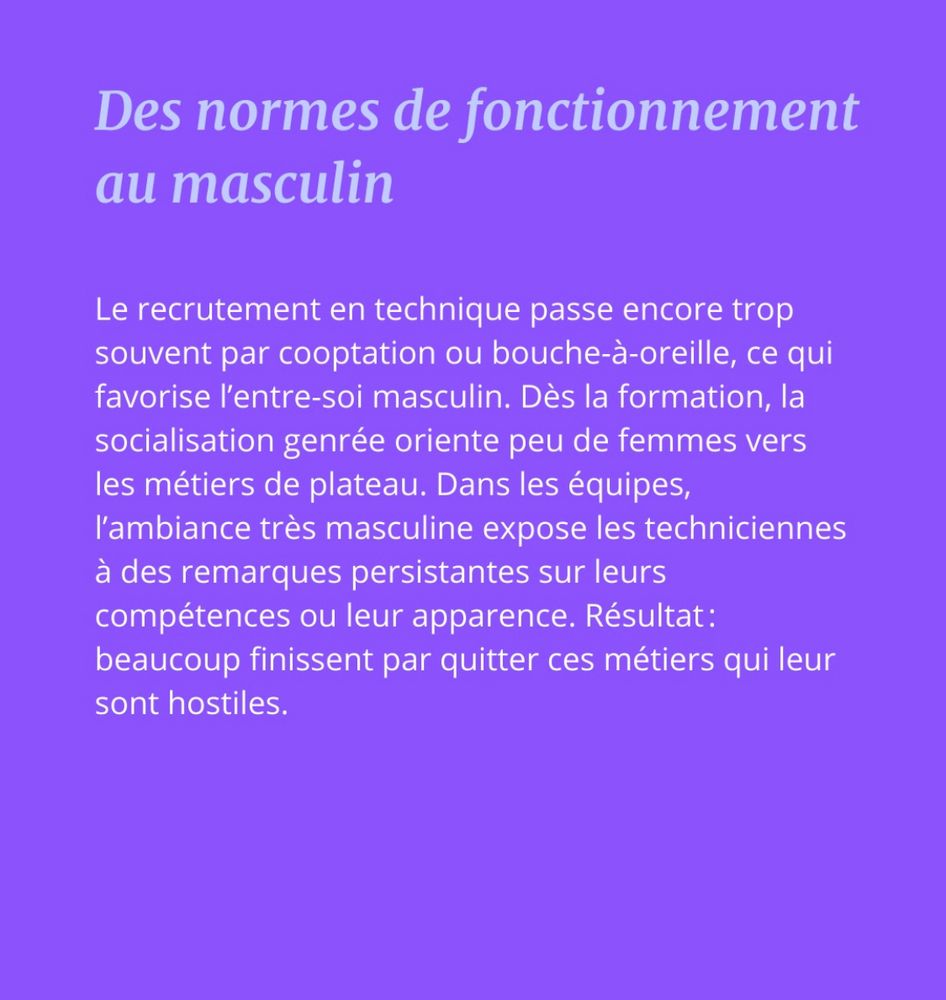 Slide intitulée "des normes de fonctionnement au masculin"