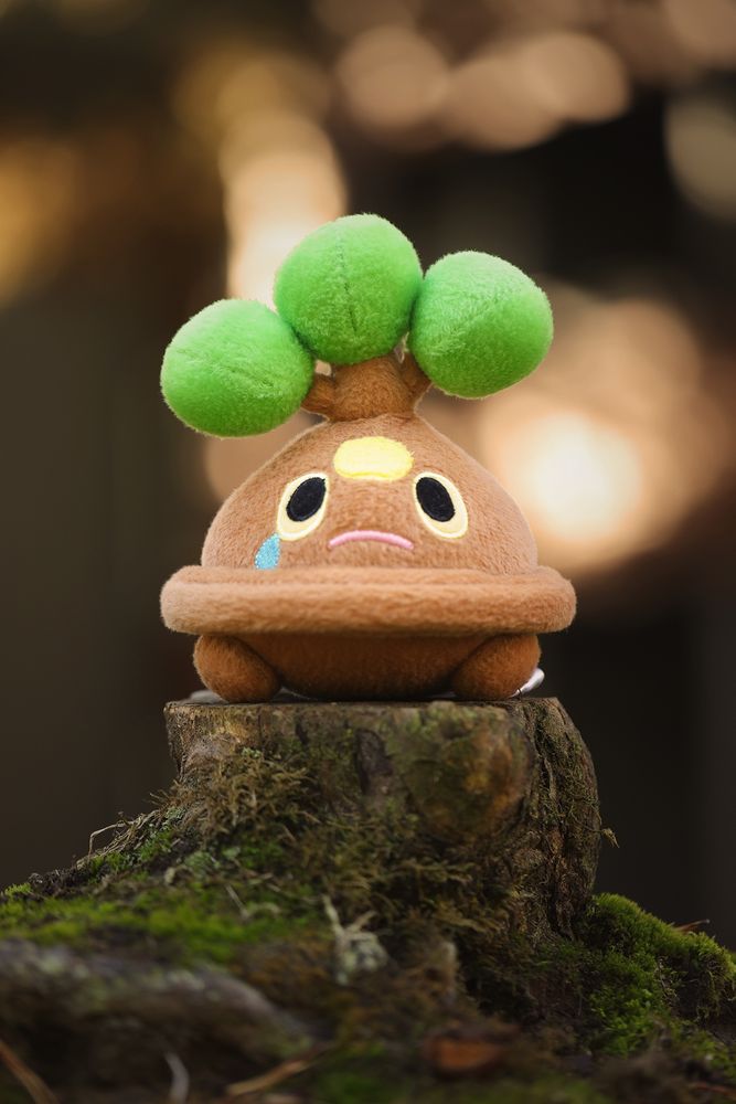 2007 Bonsly Pokémon Doll from Pokémon Center sitting on a small tree stump