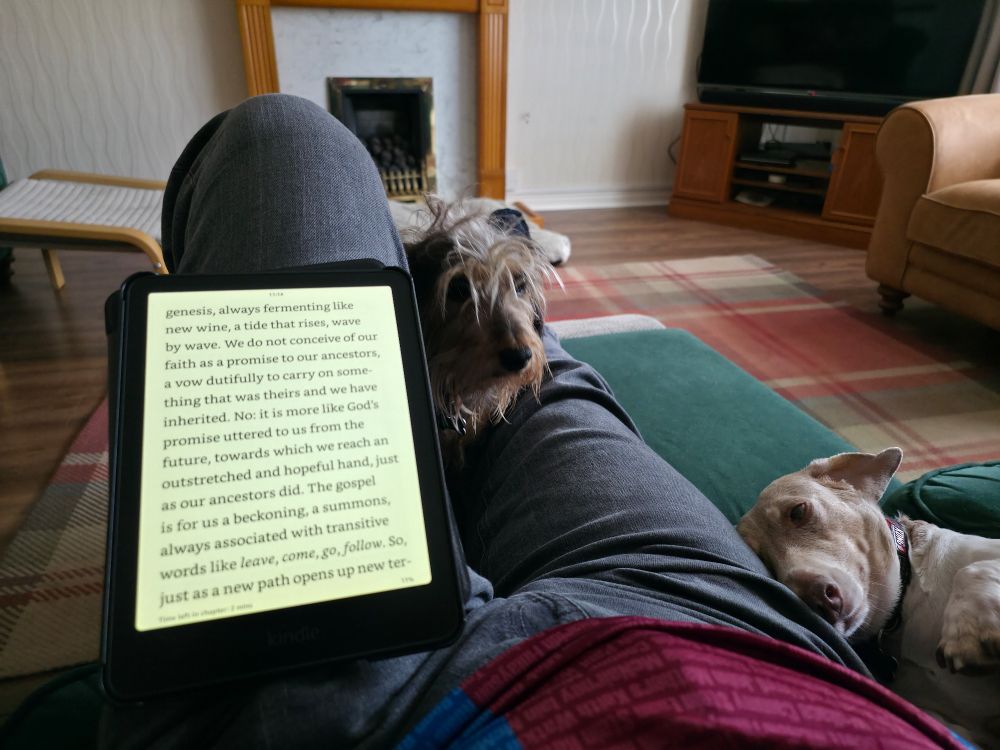 I'm sitting on my green sofa with my legs on a footstool and a Kindle perched on one leg, which is bent upwards at the knee so I can read. The book is 'A New Kind Of Christianity' by Brian D McLaren.
Daisy, my brown wirehaired dachshund, is peeking out from between my legs. Fred, my beige smoothhaired dachshund, is leaning against my leg, face up on his back, getting a belly rub (as he is wont to do). Both are looking at the camera.