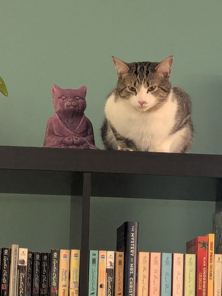 A white and gray tabby cat crouched next to a purple Buddha cat statue on top of a bookcase 
