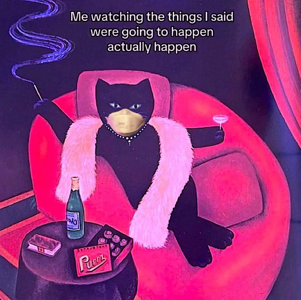 An illustration of a cat lounging luxuriously on a bean bag with a couple of pillows, a feather boa, a pearl necklace and an N95 mask, with the text "Me watching the things I said were going to happen actually happen"
