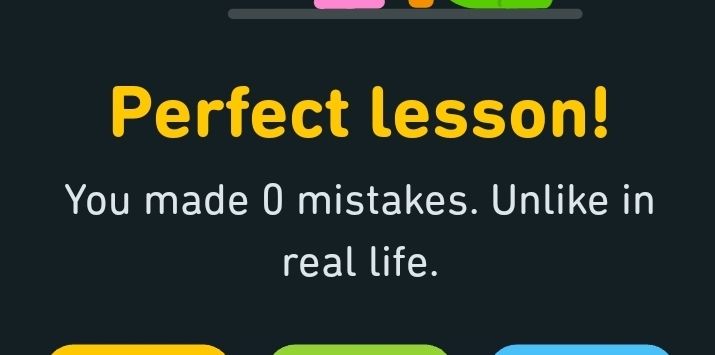 El text: Perfect lesson! You made 0 mistales. Unlike in real life.