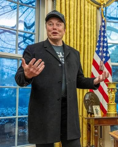 Picture of a thief hired by the felon in chief.