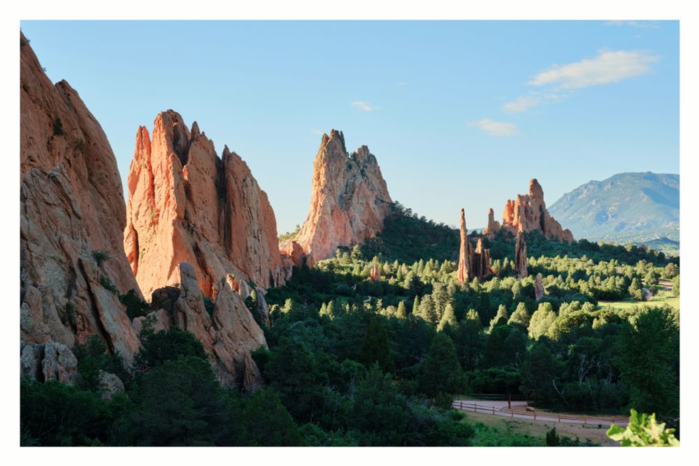 A panoramic shot of Garden of the Gods shows a landscape dotted with towering red rock formations under a clear blue sky. In the foreground, a verdant expanse of trees and shrubs spreads across the lower half of the frame, with sunlight dappling through the leaves creating patterns of light and shadow. The iconic red sandstone formations, varying in size and shape, rise majestically from the treeline, their surfaces catching the warm glow of the sun, highlighting their rugged textures. A faint dirt path is visible at the bottom right, winding through the trees. In the distance, a hazy mountain range completes the scenic view.