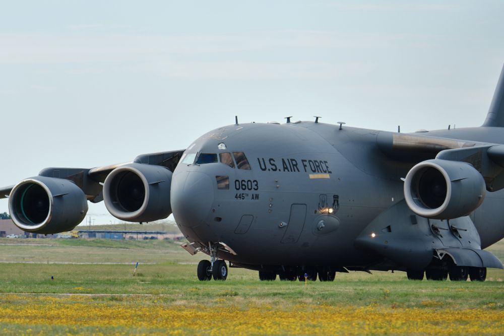 A large, grey U.S. Air Force C-17 Globemaster III military transport aircraft is seen from the front-right side on a grassy airfield. Its four massive engines are visible, two on each wing. "U.S. AIR FORCE," "0603," and "445TH AW" are clearly marked on its fuselage. The foreground features a field of yellow flowers, and in the background, a light-colored sky meets a distant horizon with some faint structures.