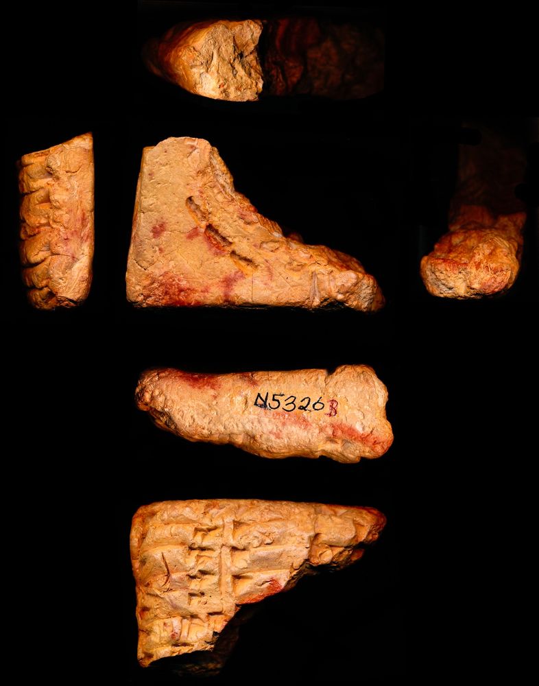 A triangular fragment of a reddish brown clay tablet pictured from various angles. On one side, three teeth marks are visible in the tablet, and on the other side are cuneiform signs. 