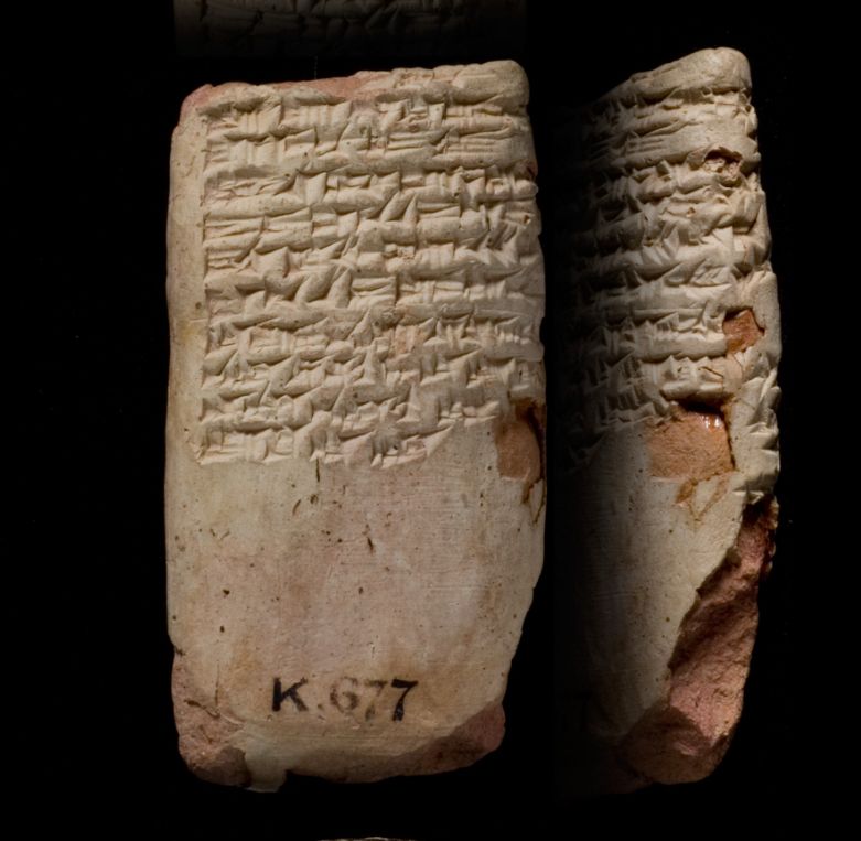 Photo of the back of a clay tablet shown from the back and one side. The top half of the tablet is covered in well-preserved cuneiform signs. At the very bottom is a museum identifier “K. 677” in black ink on the clay