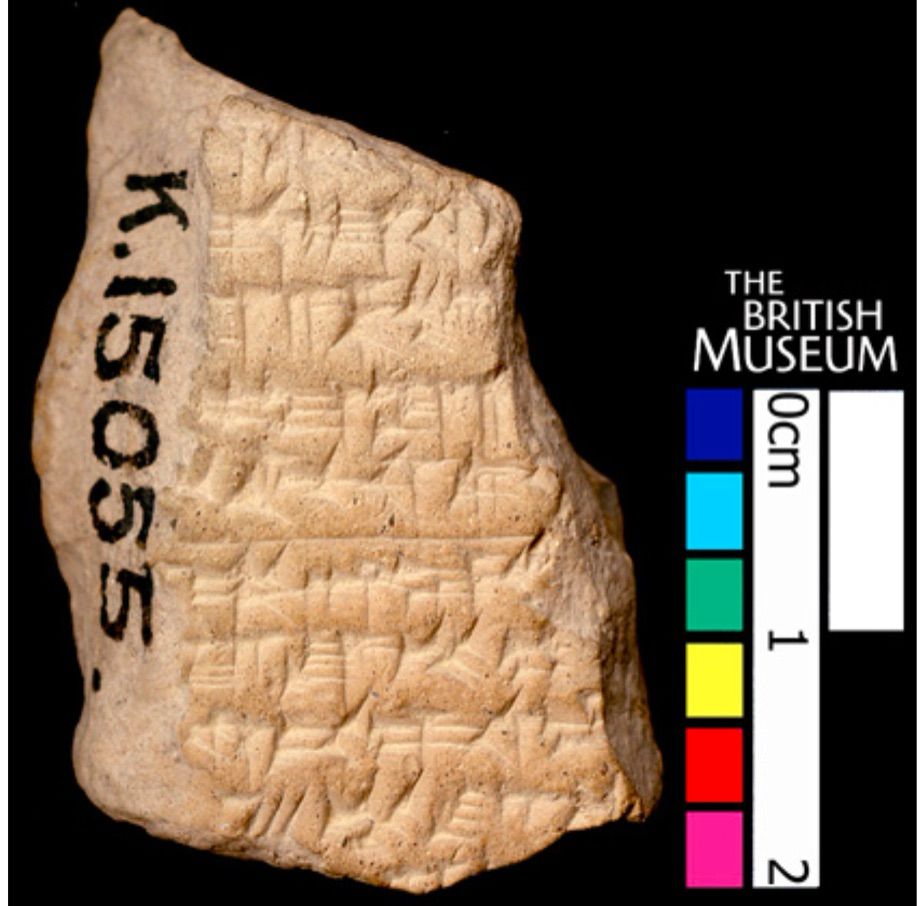 A small fragment of a cuneiform clay tablet only about 4cm long and 2cm wide. On the right is a multicoloured ruler showing its height and a British Museum watermark. On the left alongside the side where the tablet is broken is the identifier in ink “K 15055”