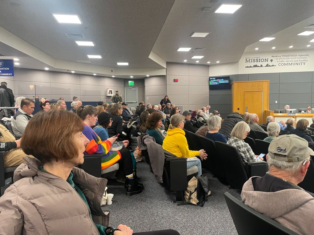 Library supporters show up at a recent Washoe County Commission Meeting to advocate for library funding. 