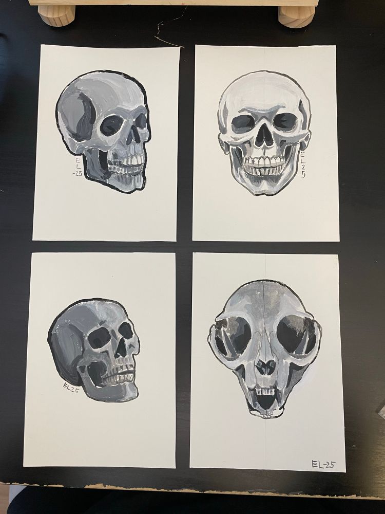 Four black and white paintings. Three of them is human skulls in different angles and one of them is cat skull