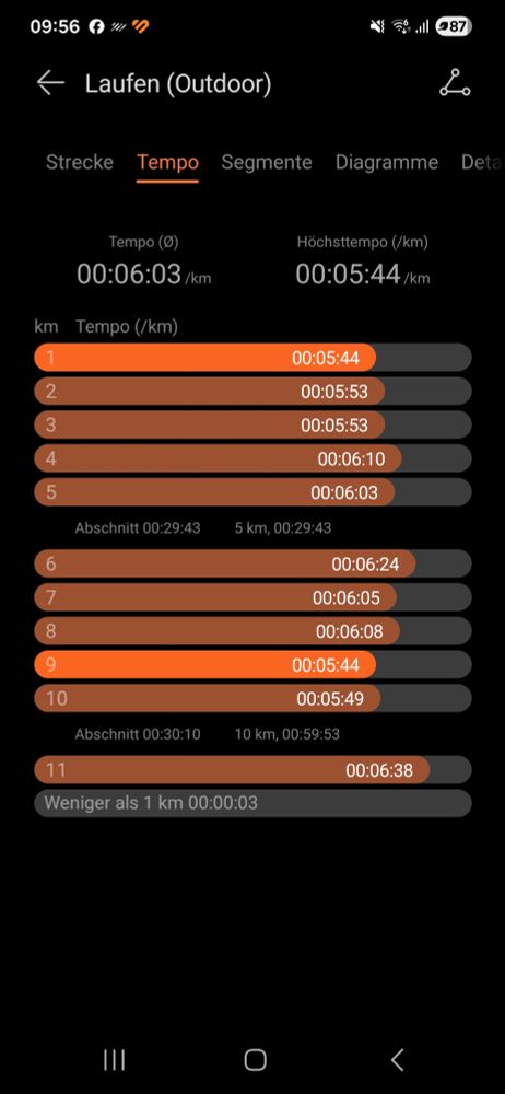 Übersicht von Geschwindigkeiten pro km. 10km Zeit bei 59:53min