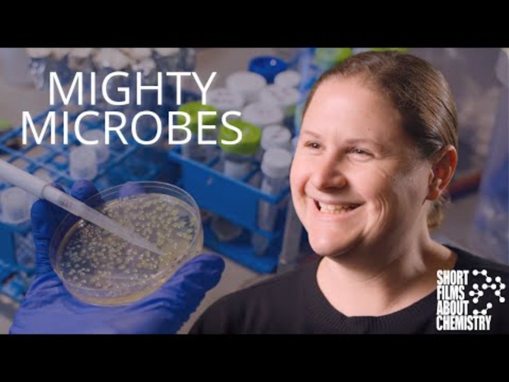 Mighty Microbes: The Power of Protective Polymers