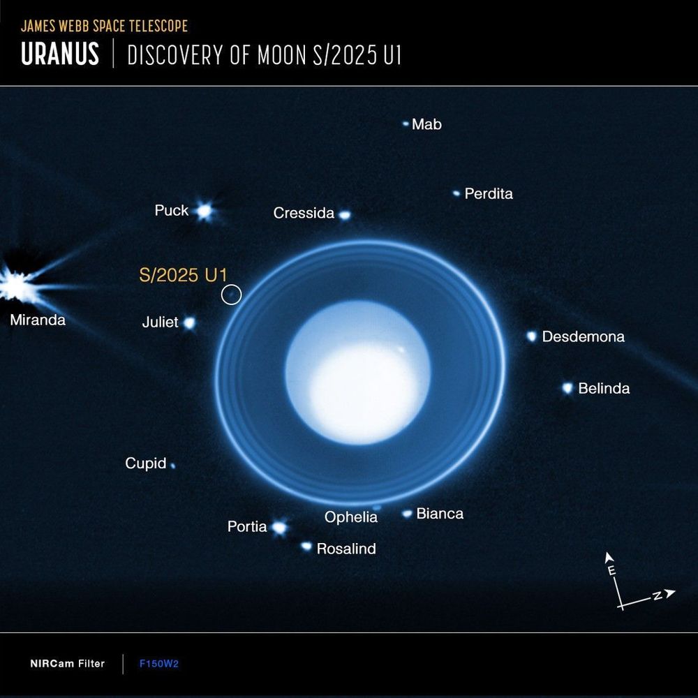 Text: James Webb Space Telescope, Uranus, Discovery of moon S/2025 U1. Picture of Uranus, surrounded by its ring system and 13 bright dots and one faint one. The dots are labeled as known moons. The faint dot is circles and labeled S/2025 U1.