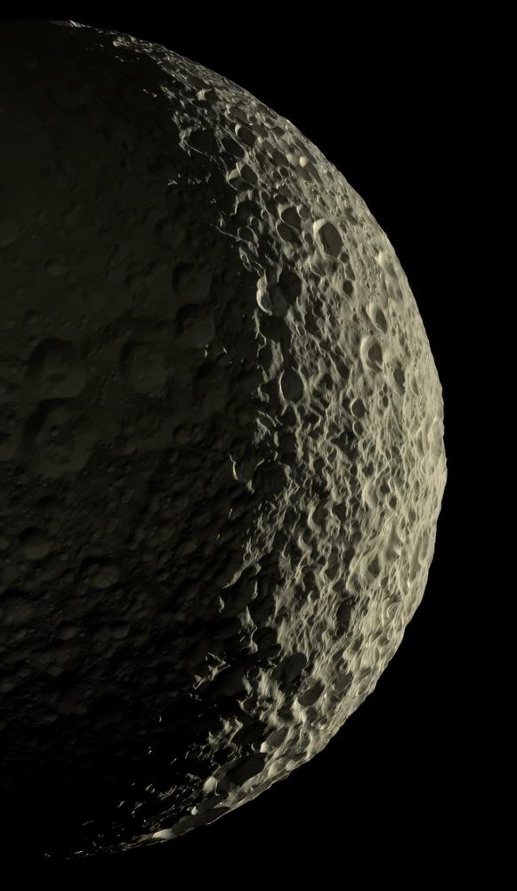 Portrait of Saturn's moon Mimas, heavily cratered like a golf ball, seen lit from the right side and shown as a half moon.