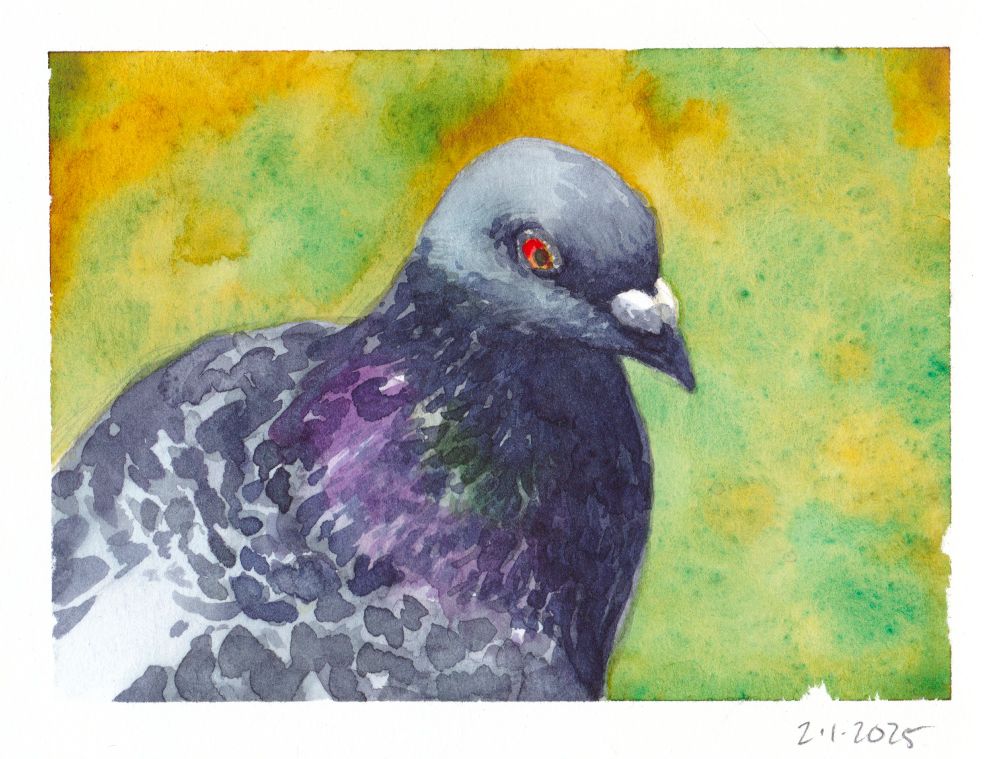 Watercolor portrait of a pigeon looking at the viewer from over their shoulder. The background is a messy, granulating/blooming mess of orange and green. The pigeon is dappled with grey spots, a purple and green hint of iridescence, and vibrant red eyes. 