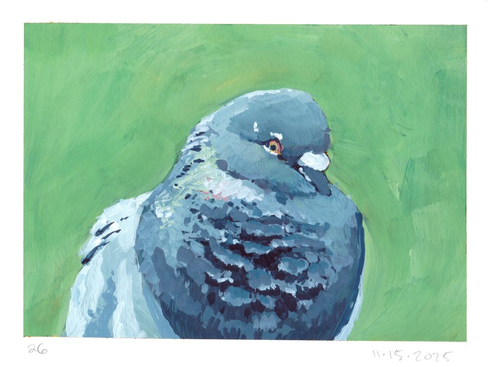 messy gouache portrait of a pigeon all puffed up and looking at you. You can see gaps between their feathers in their neck where they're puffing. The background is very messy with paint strokes visible and is a spring green. The pigeon is mostly grey with some iridescence visible.