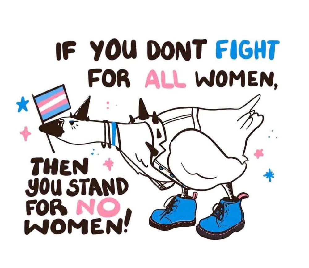 An punk goose holds a trans pride flag. The world in black pink and blue are “if you don’t fight for all women then you stand for no woman.