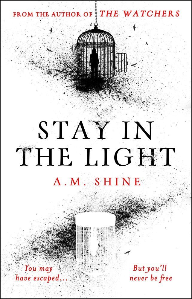 Stay In the Light by AM Shine — Runalong  The Shelves