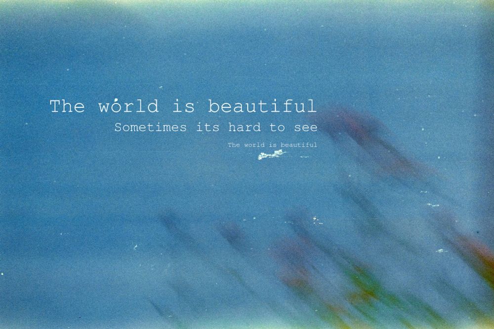 A faded film photo of a red flower on a blue background with overlayed text stating "the world is beautiful - sometimes it's hard to see - the world is beautiful" in white.