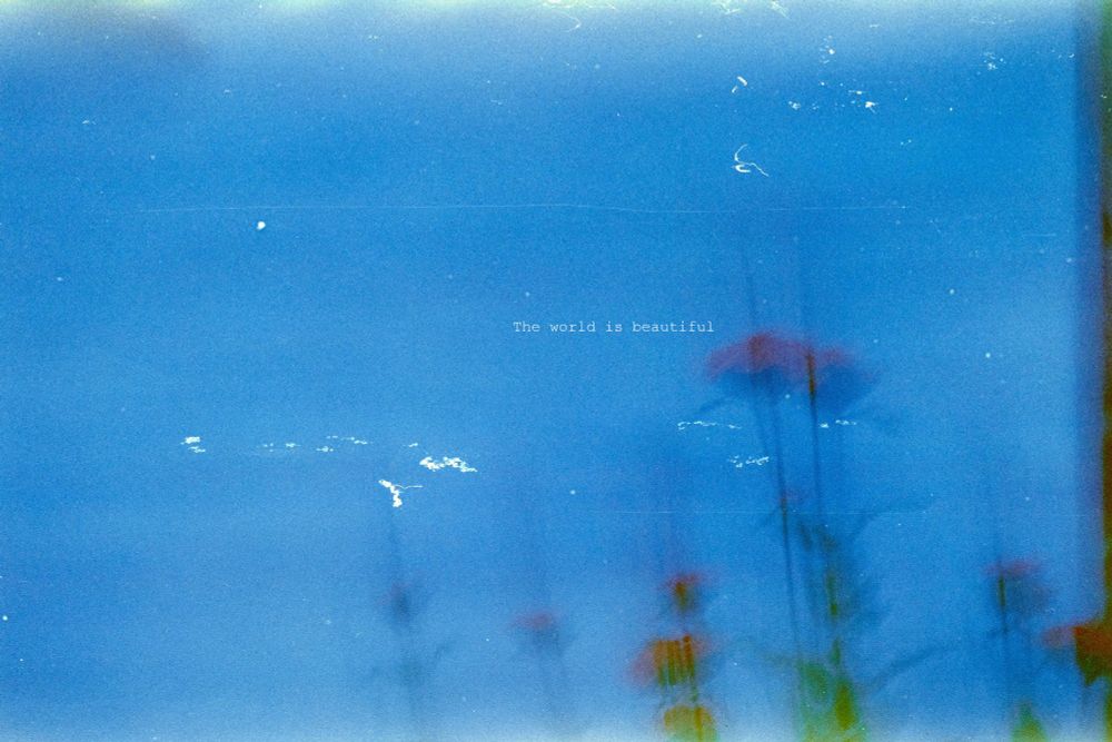 A faded film photo of a red flower on a blue background with overlayed text stating "the world is beautiful" in white.